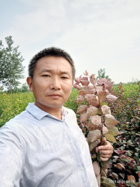 孩子爸的第二张照片--永安相亲网